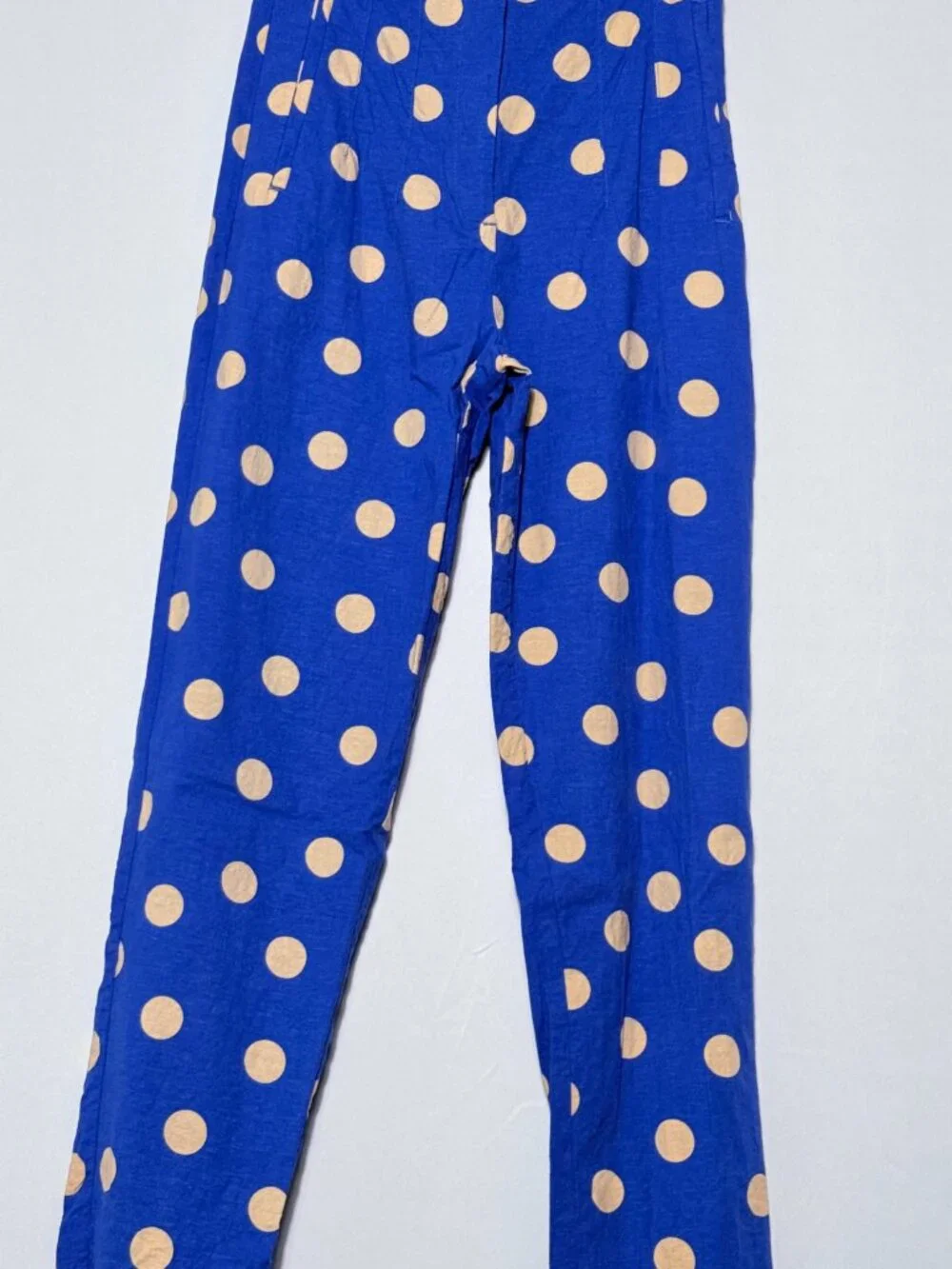 Zara Blue Polka Dot Pants